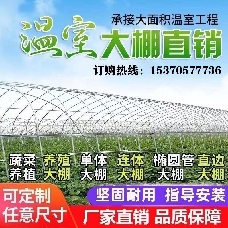 种植蔬菜温室大棚育苗草莓西瓜大棚骨架定制连体连栋大棚热镀管
