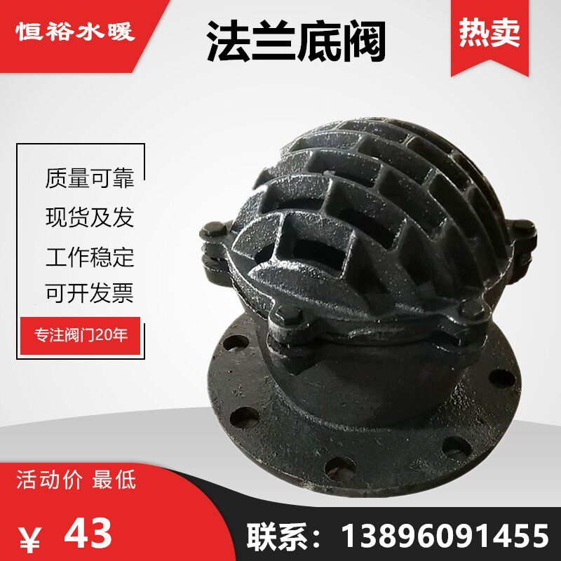 法兰底阀水泵吸水止水止回阀H42X-6单向铸铁井底阀DN100 50 40