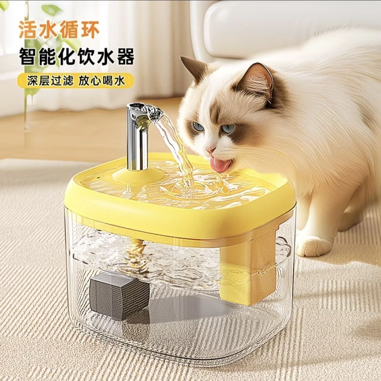 猫咪自动饮水机猫喝水器