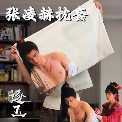 【谢征枕套】张凌赫电视