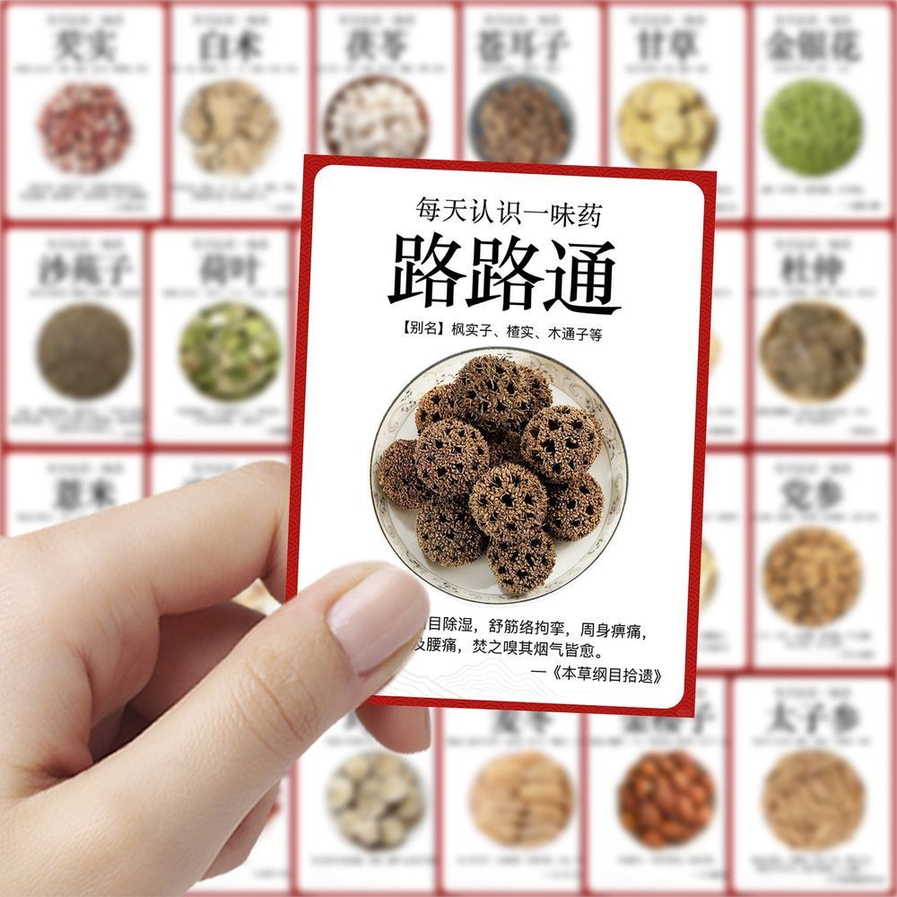 每天认识一味药中药材识别贴纸