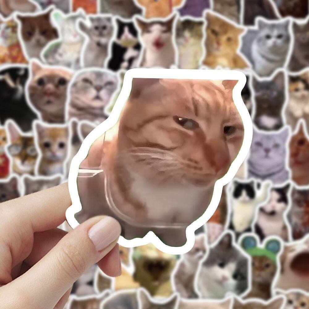 猫咪meme鬼畜表情包贴纸装饰贴画