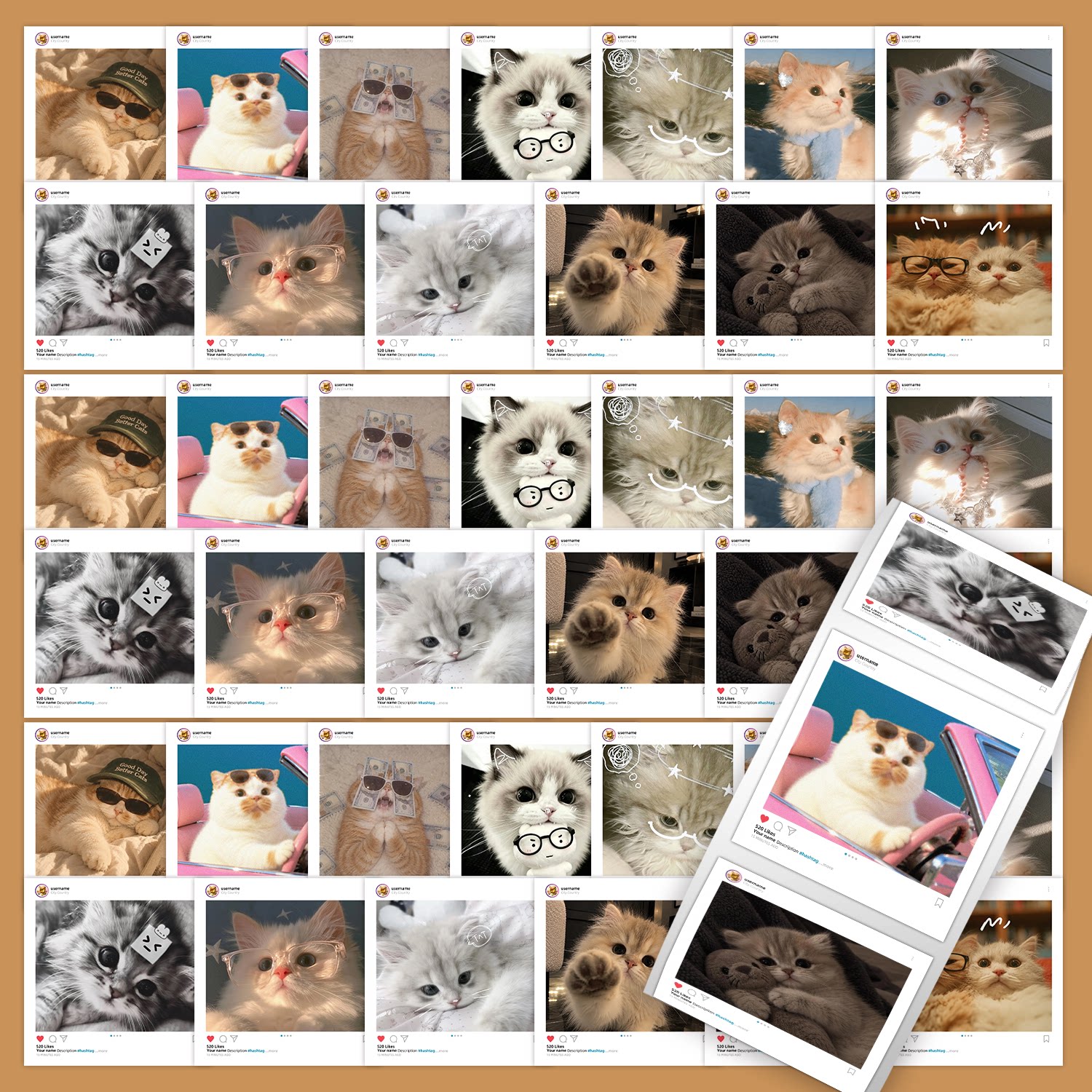2000贴实拍小猫ins风可爱猫咪贴纸网红布偶金渐层治愈实拍长毛小猫头像手账贴画手机壳行李箱装饰贴纸