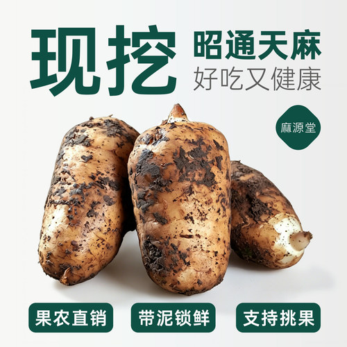 云南新鲜乌天麻昭通小草坝源头价
