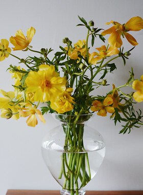 收集时光 Camus say古典高脚花瓶 水晶玻璃手工花瓶 毛茛虞美人