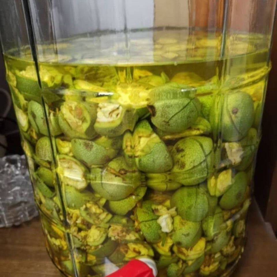 云南嫩核桃药用核桃鲜果新鲜带皮