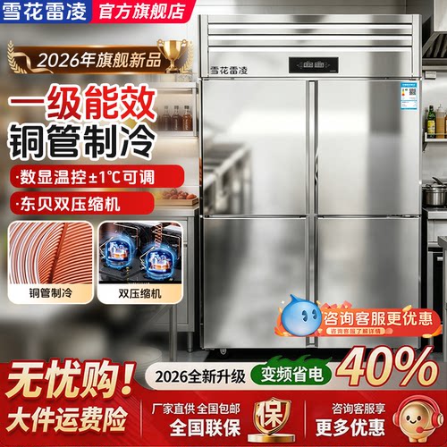 雪花旗舰店商用立式四六冰箱