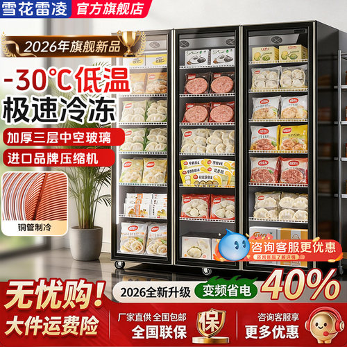 雪花雷凌商用风冷无霜速冻展示柜