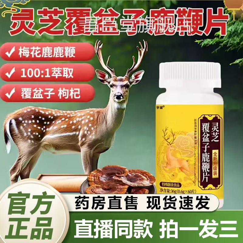 芝覆盆子鹿鞭片高含量好吸收官方旗舰店正灵品梅花鹿甄选原料1QY