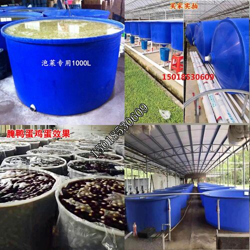 加厚牛筋塑料储水圆桶大号养殖水产桶家用酿酒发酵桶洗澡桶