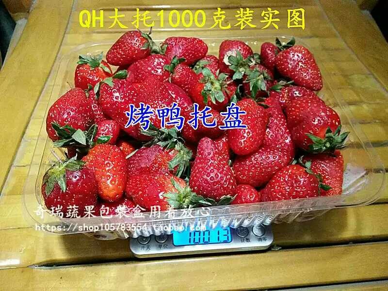 保鲜塑料盒 密封盒 长方形一次性透明无盖蔬菜水果切果塑料托盒