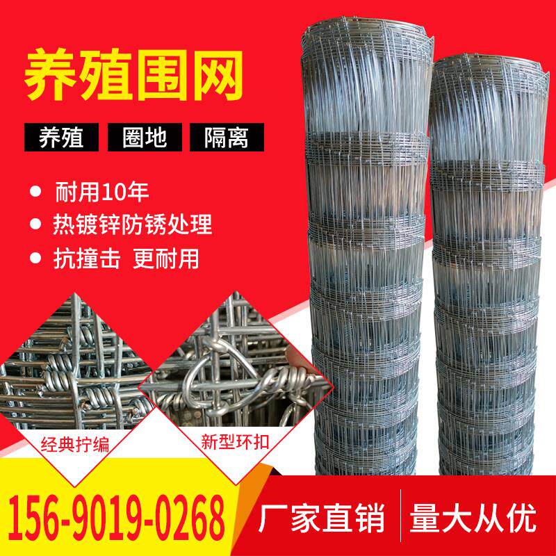 热浸镀锌铁丝勾花网围栏养殖牛栏网拧花围网防护围栏钢丝种植隔离