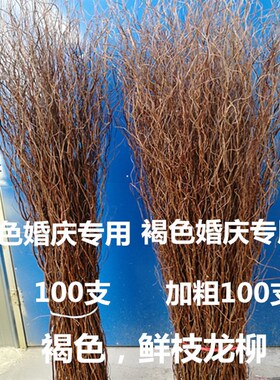 干枝干花鲜枝龙柳干枝,婚庆拱门,橱窗装饰花隔断龙桑干枝