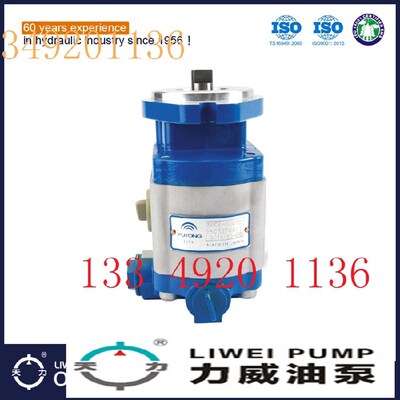 合肥力威汽车转向油泵助力泵 非开挖合肥天力 QC12/23-EQ齿轮油泵