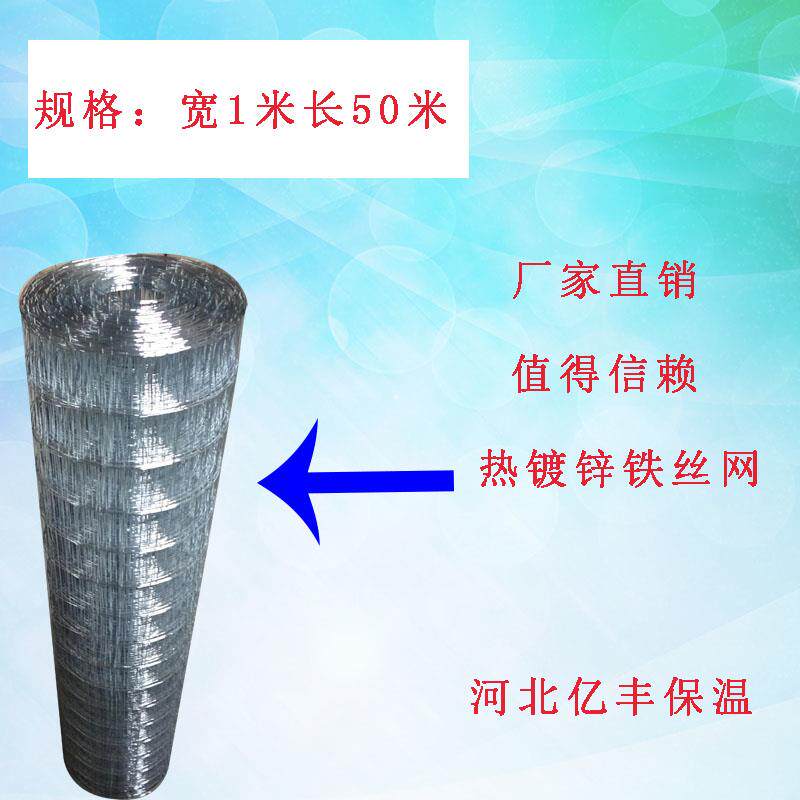 镀锌铁丝网鸡鸽笼围栏彩钢大棚玻璃棉卷毡托网养殖防护隔离网