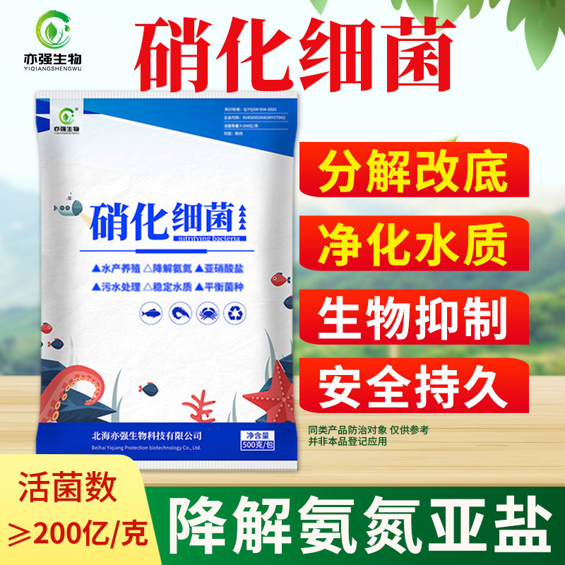 水产养殖硝化细菌污水处理净化水质活性快降低亚硝酸盐氨氮菌数高