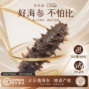 即食海参鲁参独立装潮间带海参