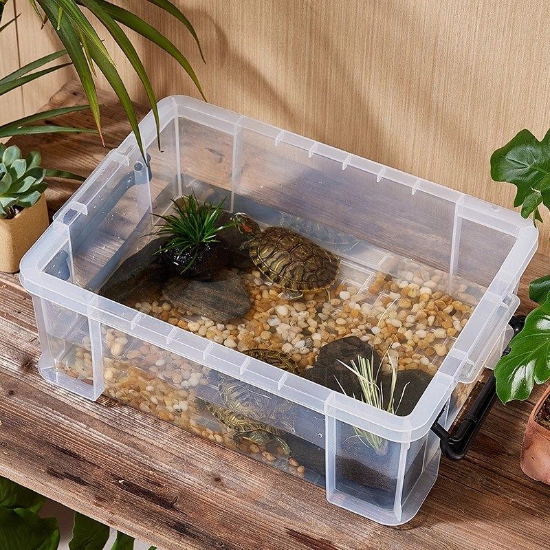 乌龟周转箱家用过滤造景塑料专养龟缸透明生态箱生物养鱼养殖箱子