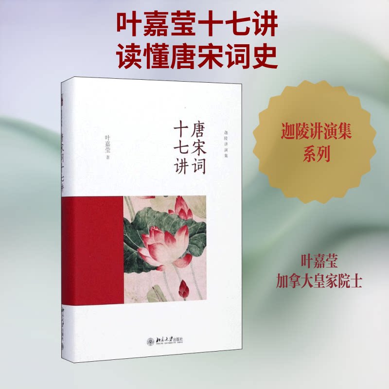 唐宋词十七讲 唐宋词十七讲 古典文学经典 词牌格律解析 词人故事解读 历史背景梳理 诗词赏析入门 文学素养提升 9787301285541