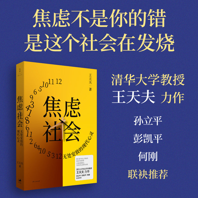 焦虑社会:无处安放的现代心灵(焦虑不是你的错,是这个社会在发烧!清华大学教授王天夫力作,孙立平、彭凯平、何刚联袂)