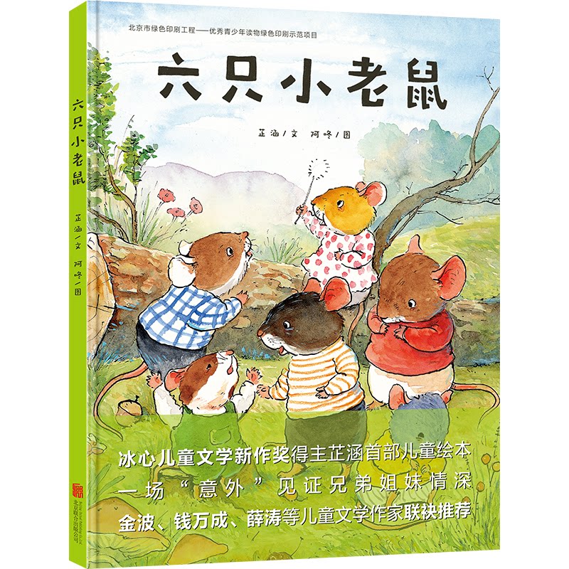 六只小老鼠(童书 绘本子读启蒙认知视觉发现趣味故事男孩女孩)