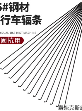 10根黑色13g自行车辐条13号电动自行车钢丝13k山地车幅条2.2mm粗