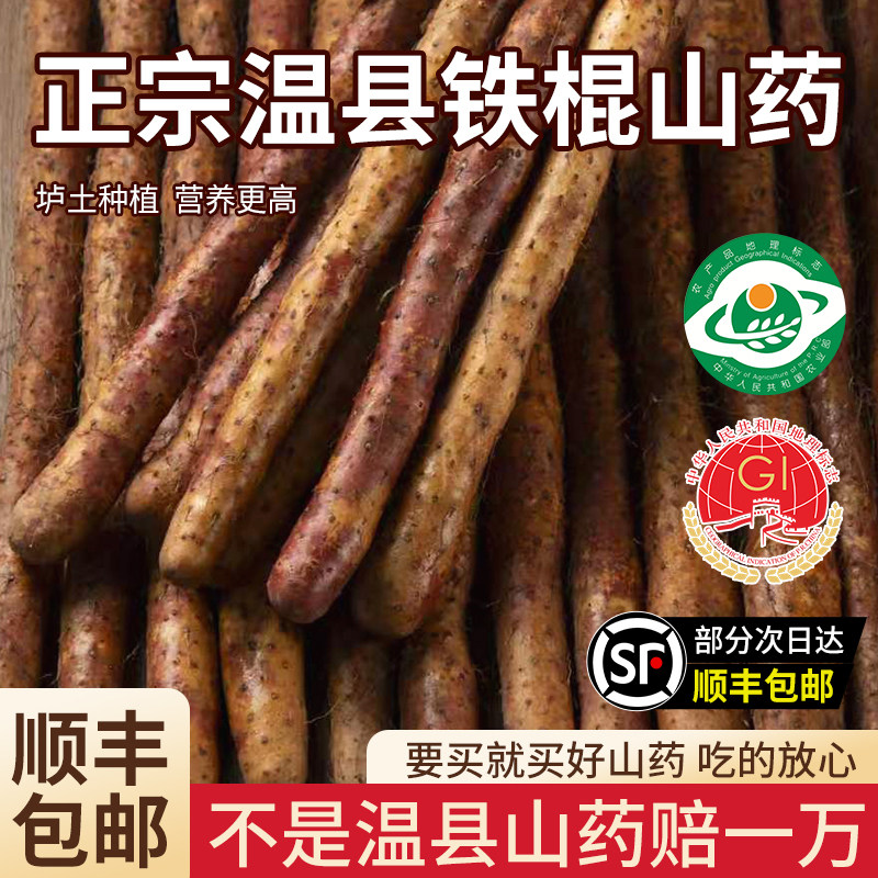 现挖新货焦作温县正宗铁棍山药垆土当季新鲜怀山绵密粉糯顺丰包邮