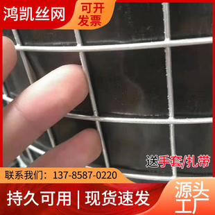 加粗大孔热镀锌电焊网铁丝网装玉米卷网山地果园围栏网养殖网整卷