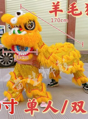 小狮子头舞狮头套装塑料儿童舞狮子醒狮南狮幼儿表演道具双人舞狮