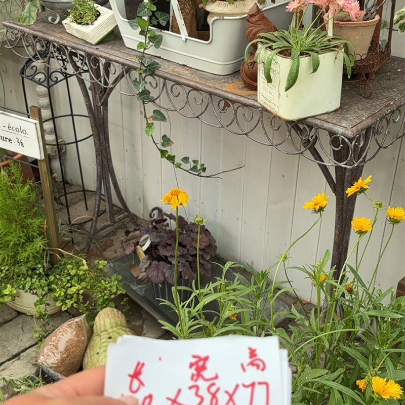 爱上花园 园艺杂货铁皮长方爱心桌
