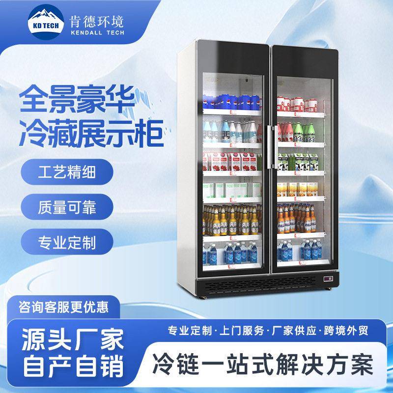 肯德环境双门饮料冷藏展示柜超市便利店酒水立式风冷保鲜冷柜定制