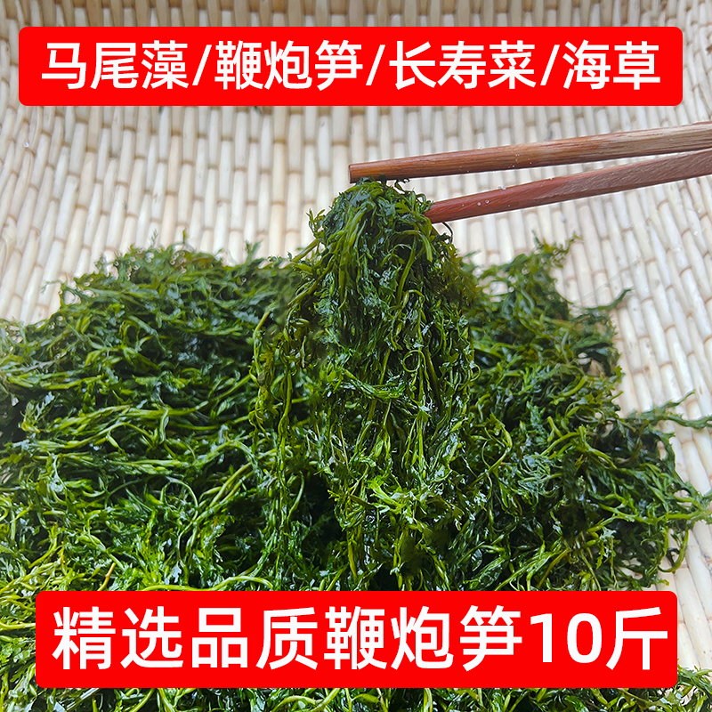 识蜀记火锅专用鞭炮笋少盐海草10斤一箱嫩海藻长寿菜餐饮商用食材
