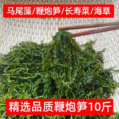 识蜀记火锅专用鞭炮笋少盐海草10斤一箱嫩海藻长寿菜餐饮商用食材