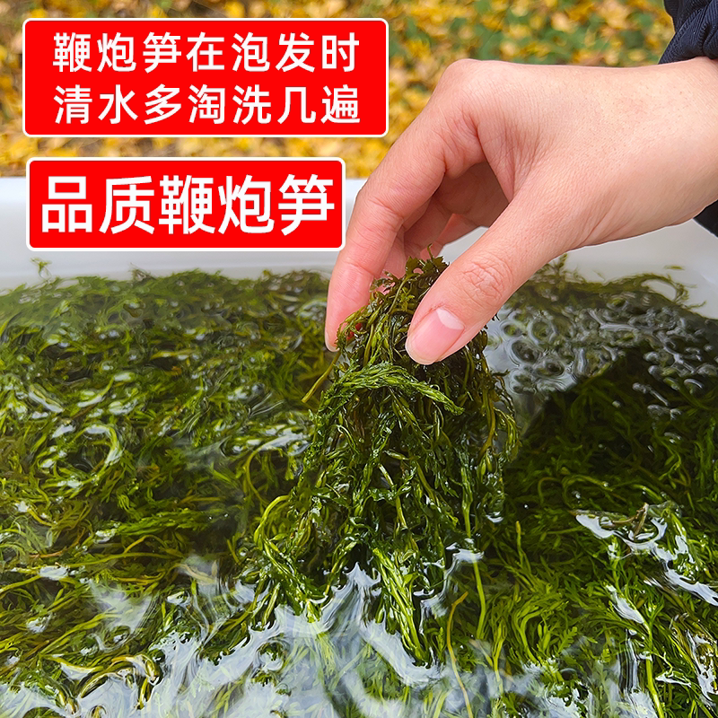 餐饮拿货批发鞭炮笋10斤海草少盐海藻火锅麻辣烫冒菜凉菜商用食材