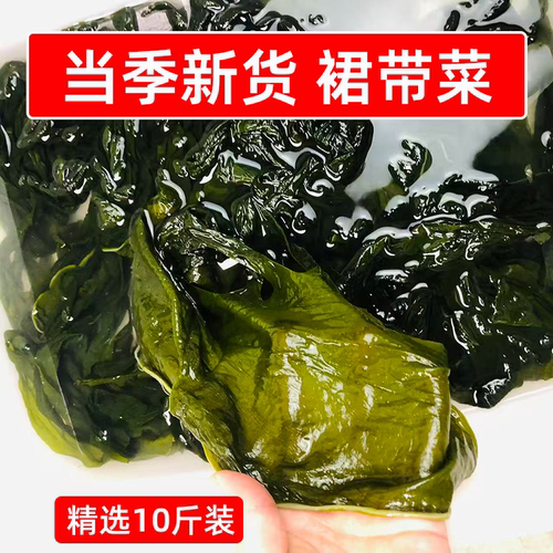 当季新货裙带菜10斤一箱裙带叶海带嫩苗盐渍海藻商用火锅凉拌食材