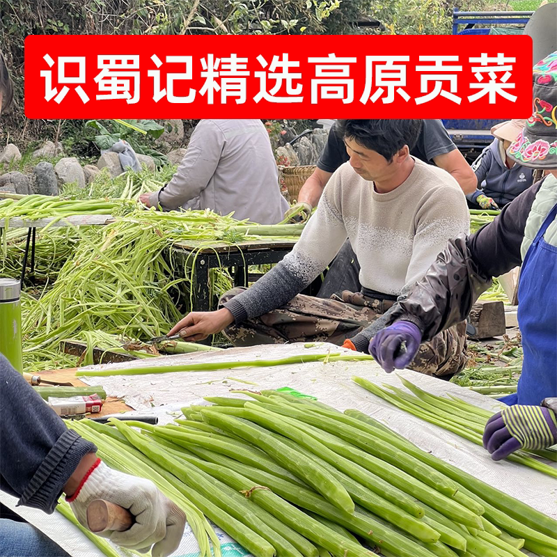 识蜀记高原贡菜500g云南大理贡菜