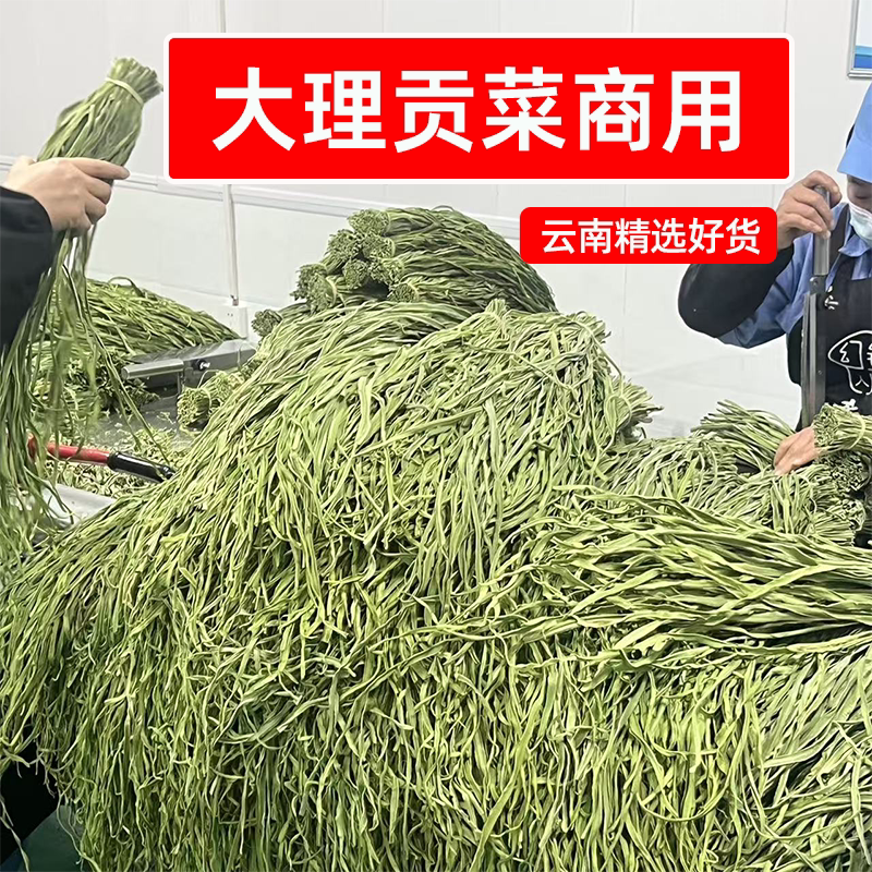 识蜀记大理贡菜商用一箱精选云南农家干贡菜苔菜火锅辣卤鸭脖食材