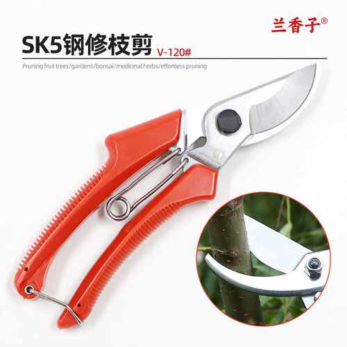 果枝剪省力修枝剪树枝专用SK5花枝花艺剪果树修枝剪刀园艺工具