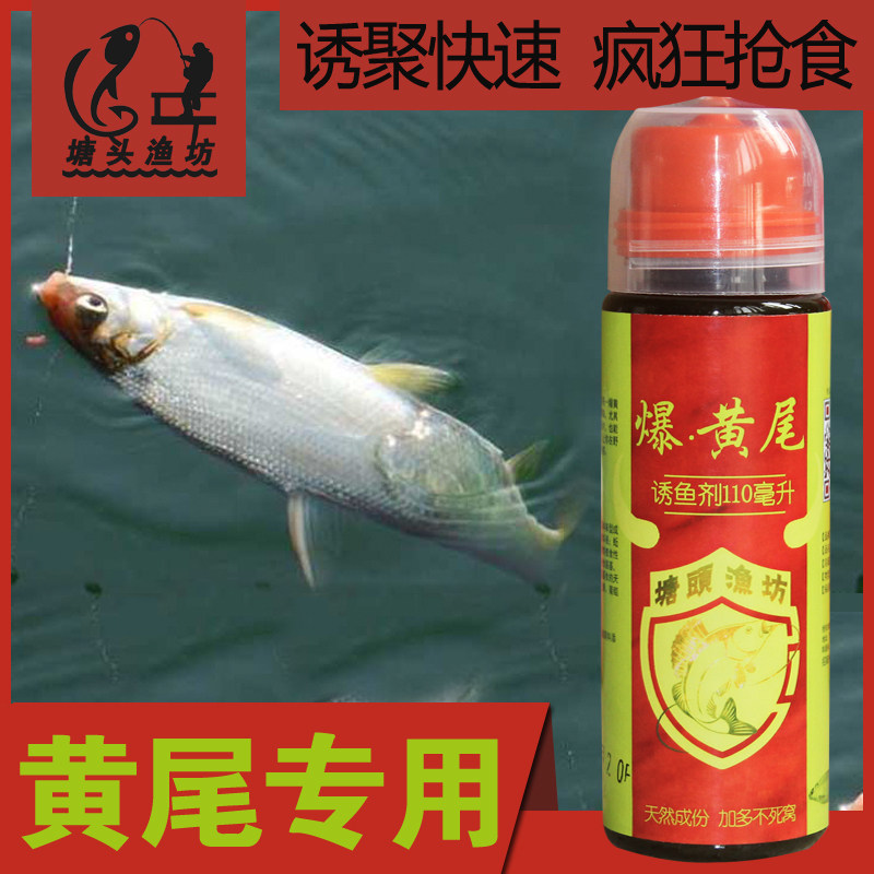 爆黄尾鯝钓鱼鱼饵添加剂夏秋季野钓红尾青尾银鯝打鱼饵用黄尾饵料