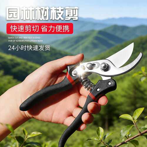 果树修枝园林粗枝剪树枝用的剪刀花艺修枝剪摘果剪高枝剪