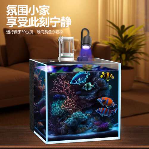 背滤海水缸全套设备小型客厅桌面珊瑚造景方缸超白玻璃小丑鱼海缸