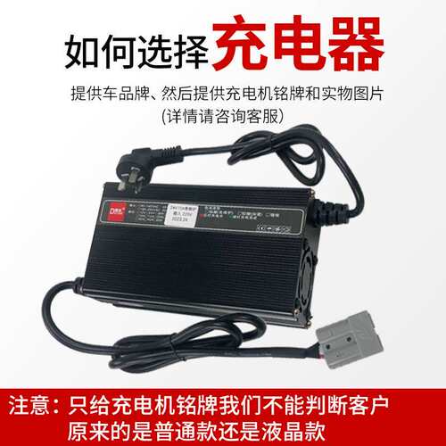 电动叉车搬运车配件DL得龙加液免维护充电器(220V)充电机12V48V