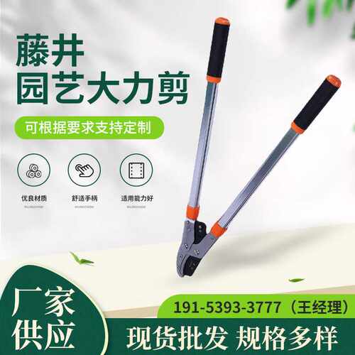 供应修枝剪修剪树枝果树粗枝剪园艺农用大力剪树剪子省力园林工具