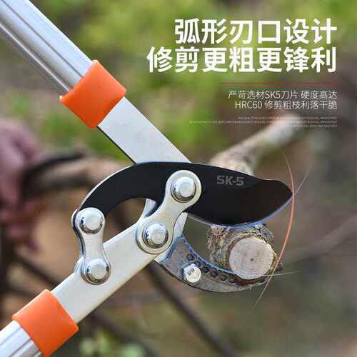 修剪树枝剪刀果树剪枝大力剪园林粗枝剪强力剪花枝园艺工具高枝剪