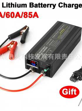 12V Lifepo4 Battery Charger Adjustable 40/60/85A可调充电器铁