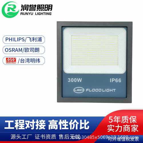 新款市电投光灯大功率高杆灯100W200W泛光灯广告招牌照明灯具应急