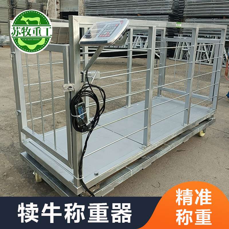 苏牧重工养殖设备犊牛称重器厂家养牛场用0-6个月小牛称重设备