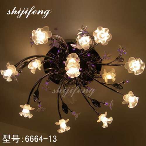 ceiling lamp简约现代花型灯卧室灯创意个性吸顶灯异形灯具房间灯