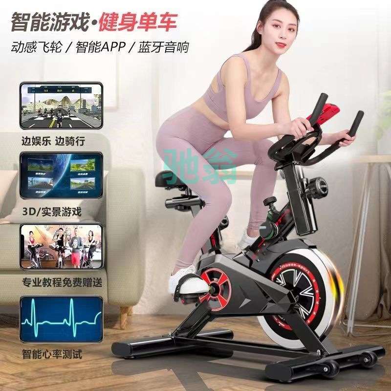 xsz动感单车家用健身器小型自行车专业房室内脚踏运动静音锻炼机