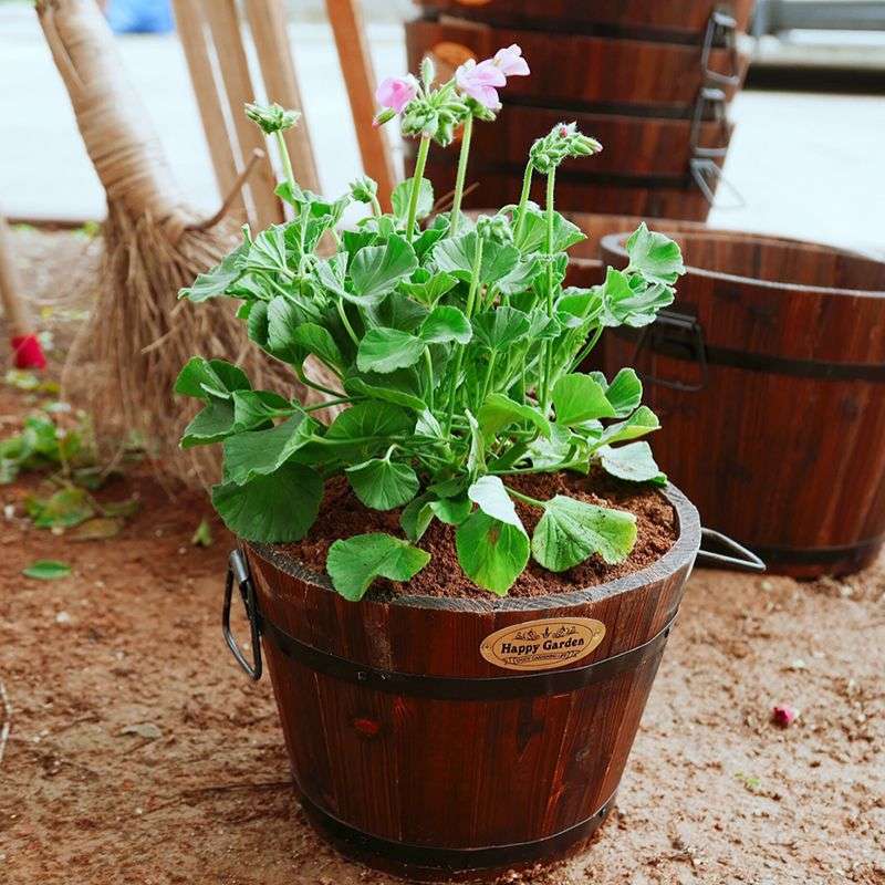 碳化防腐木制圆形花桶花箱花盒阳台种花种菜绿植花盆木桶多肉花盆